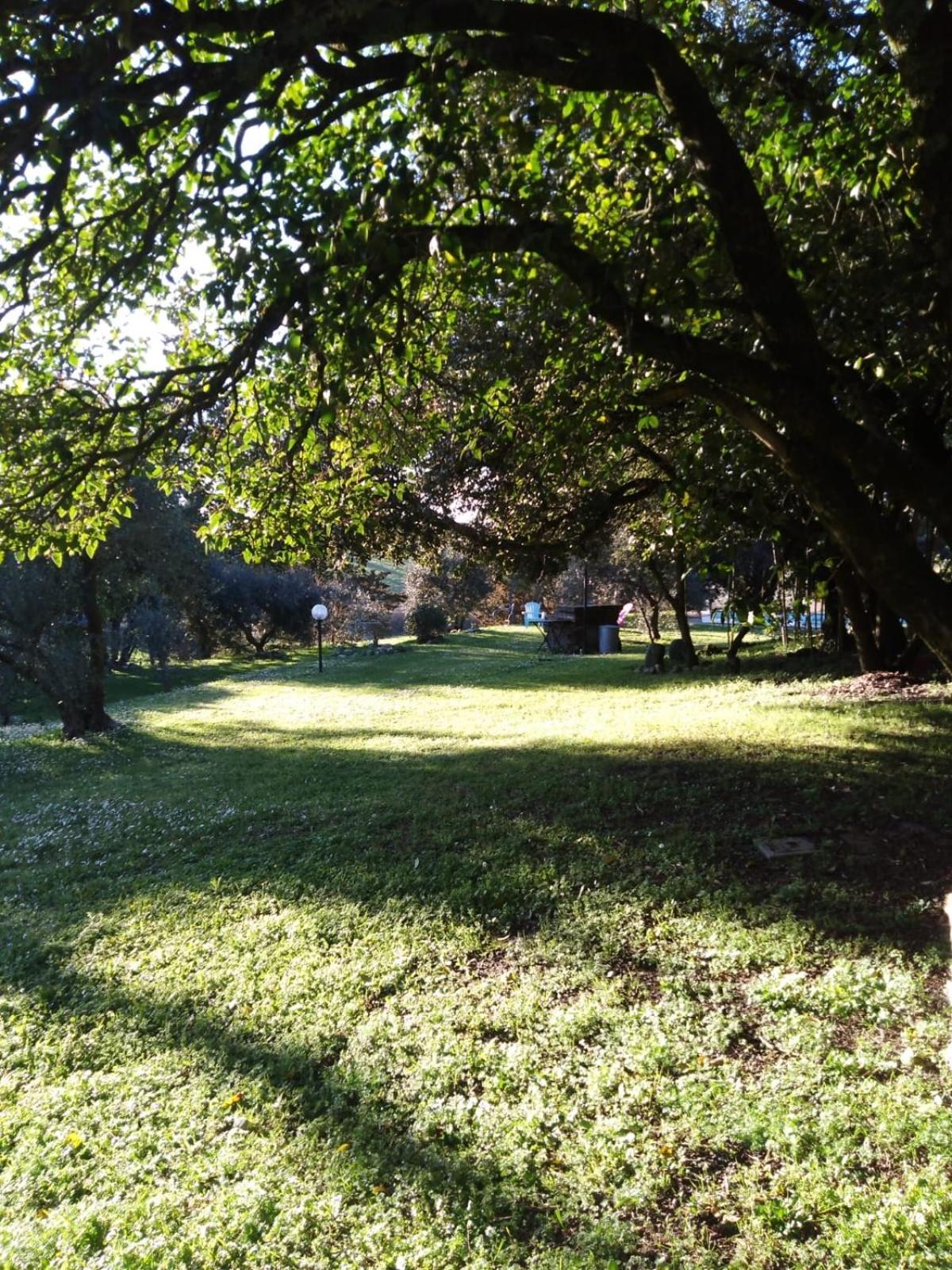Agriturismo La Torre Di Monsindoli Siena Bagian luar foto