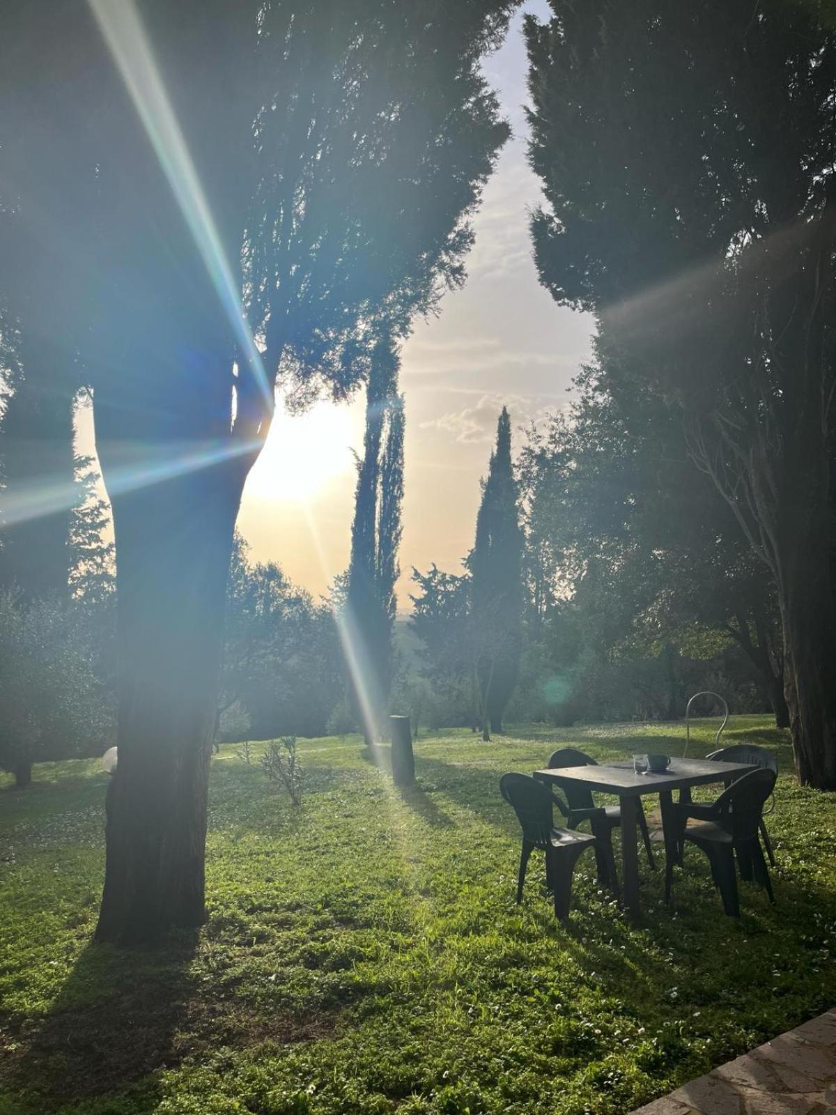 Agriturismo La Torre Di Monsindoli Siena Bagian luar foto
