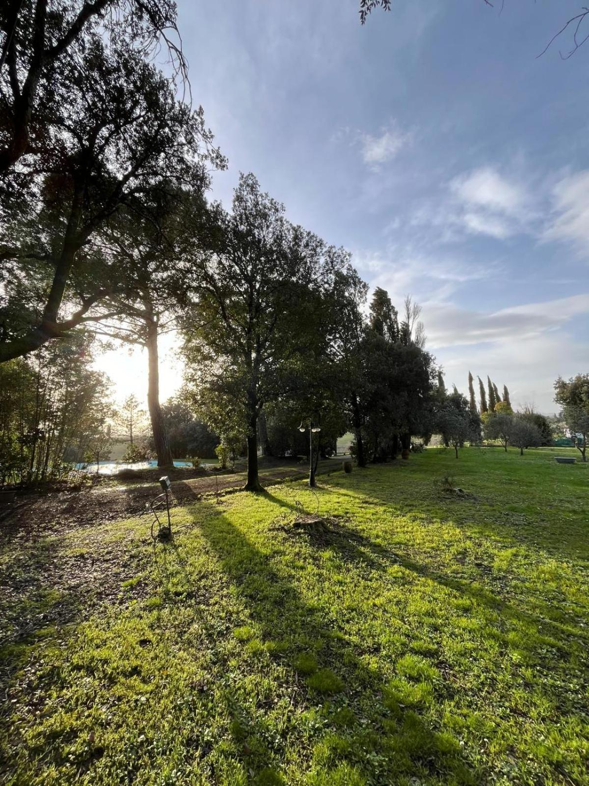 Agriturismo La Torre Di Monsindoli Siena Bagian luar foto