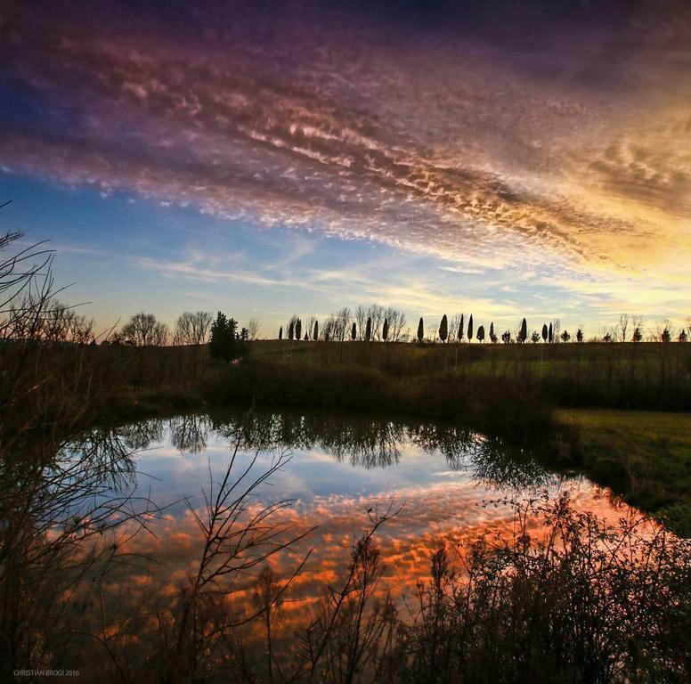 Agriturismo La Torre Di Monsindoli Siena Bagian luar foto
